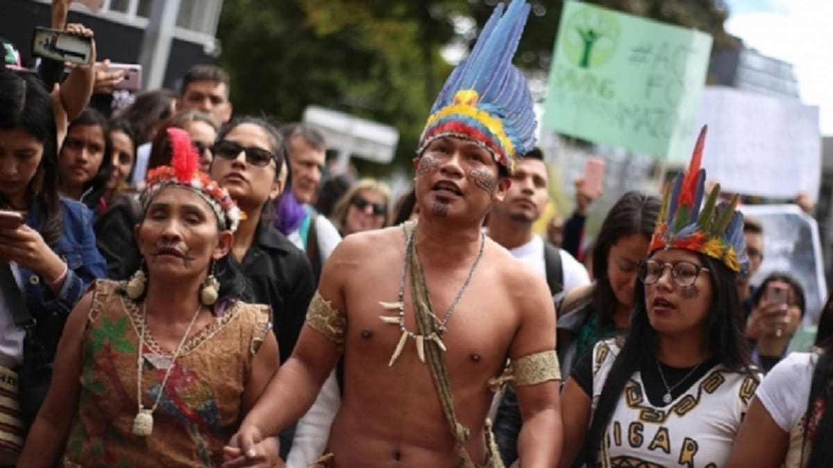 Comunidades indígenas Barí buscarán llegar al congreso