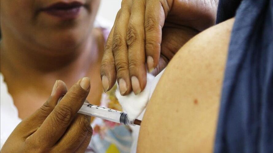Se recomienda vacunarse contra la fiebre amarilla. Foto: Agencia Anadolu