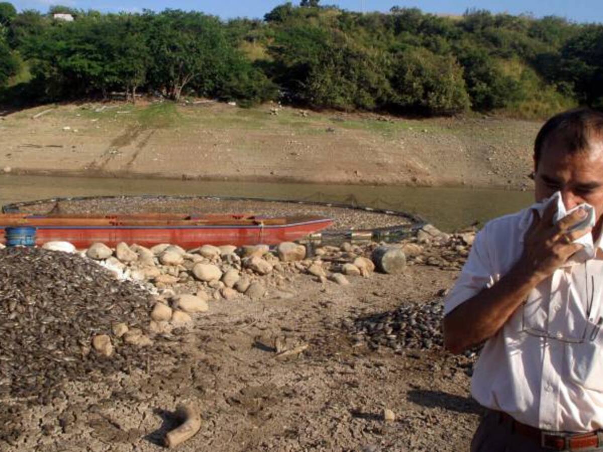 En próximos días se cerrarán dos procesos sancionatorios contra EMGESA