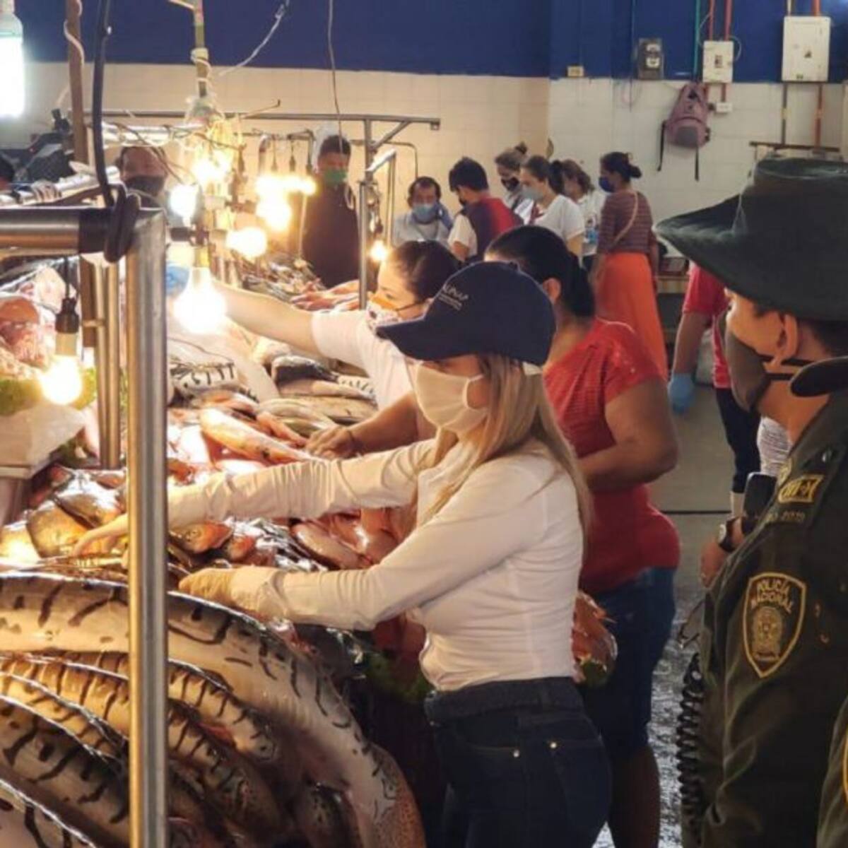 Veda de bagre rayado se cumple bajo estricta vigilancia de Aunap