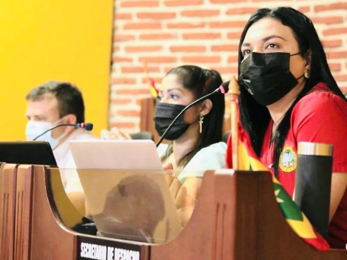 Directora del Dadis pidió garantía en debates del concejo