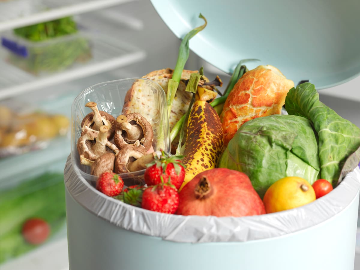 Trucos para conservar la comida por más tiempo en clima caliente