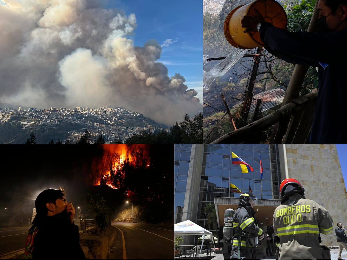 Ecuador: en medio de sequía denuncian incendios forestales intencionados