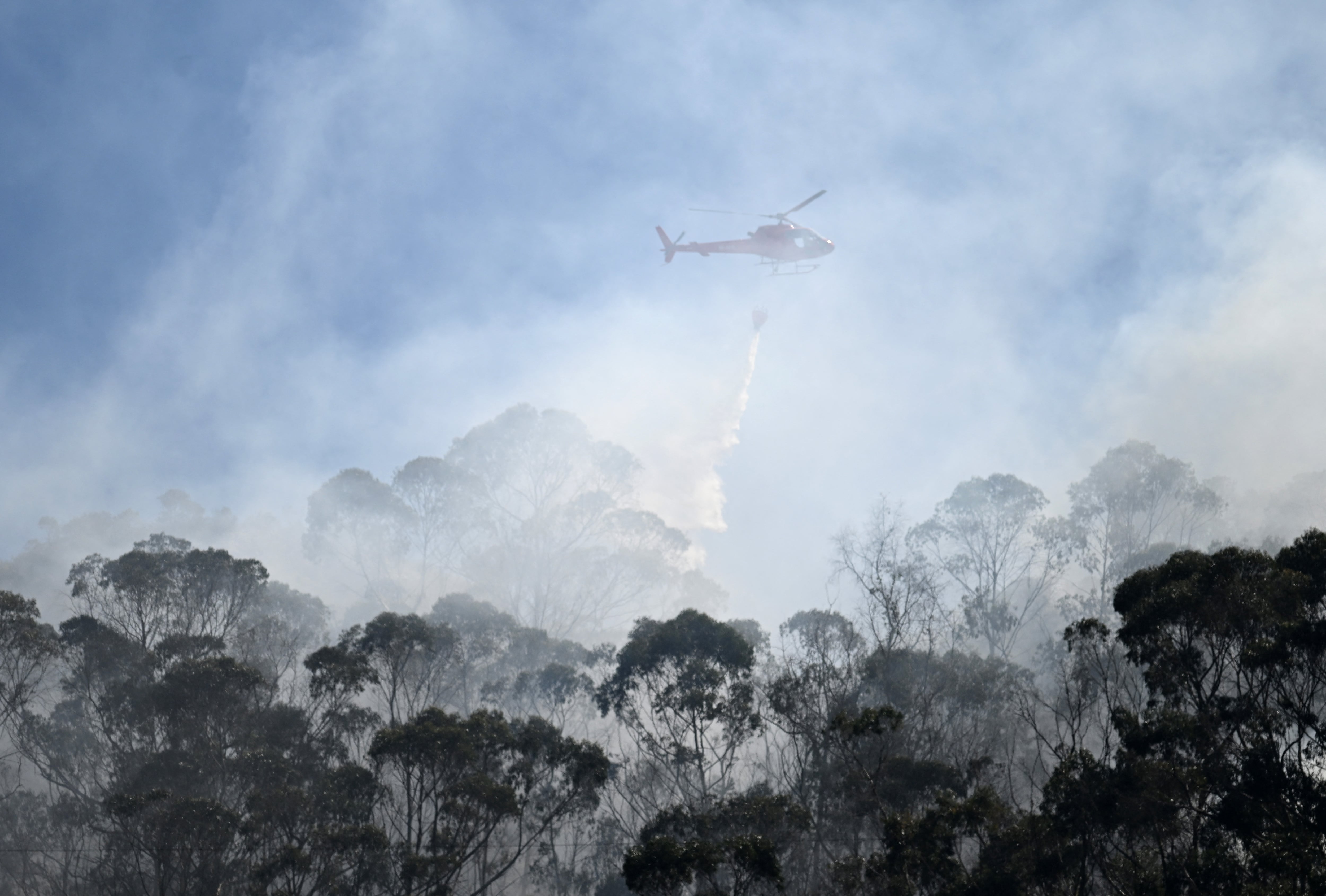 Incendio en cerros Orientales de Bogotá: cuatro hectáreas afectadas. Foto: RAUL ARBOLEDA/AFP via Getty Images