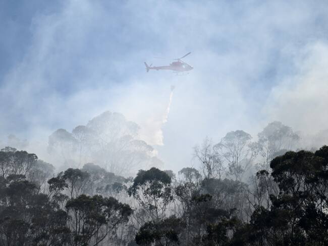 Incendio en cerros Orientales de Bogotá: cuatro hectáreas afectadas. Foto: RAUL ARBOLEDA/AFP via Getty Images