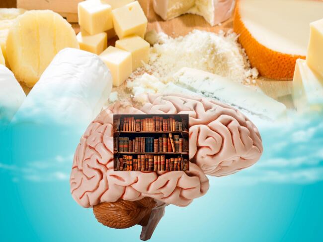 Quesos, memoria, imágenes de referencia (Getty Images).