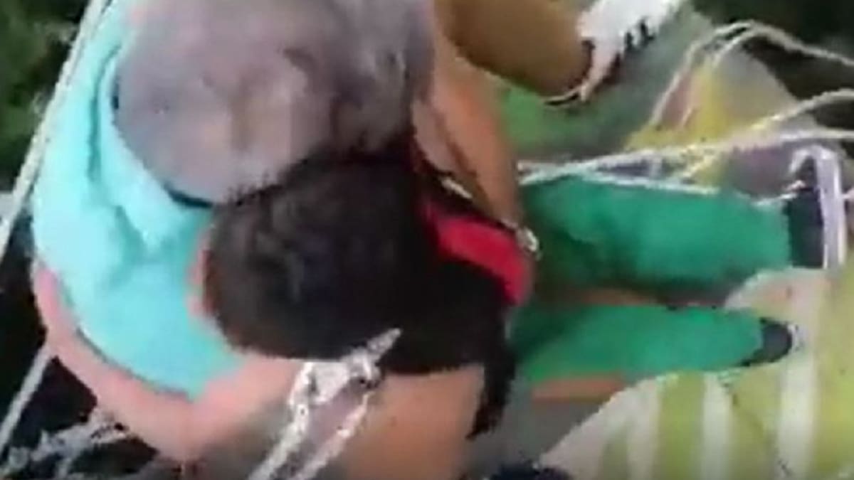 Tremendo susto: en Andes un niño cayó desde un puente y lo salvó un árbol
