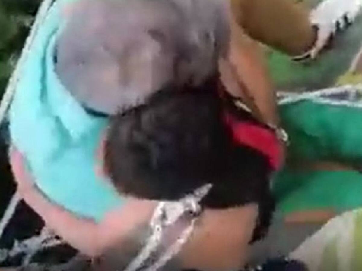 Tremendo susto: en Andes un niño cayó desde un puente y lo salvó un árbol