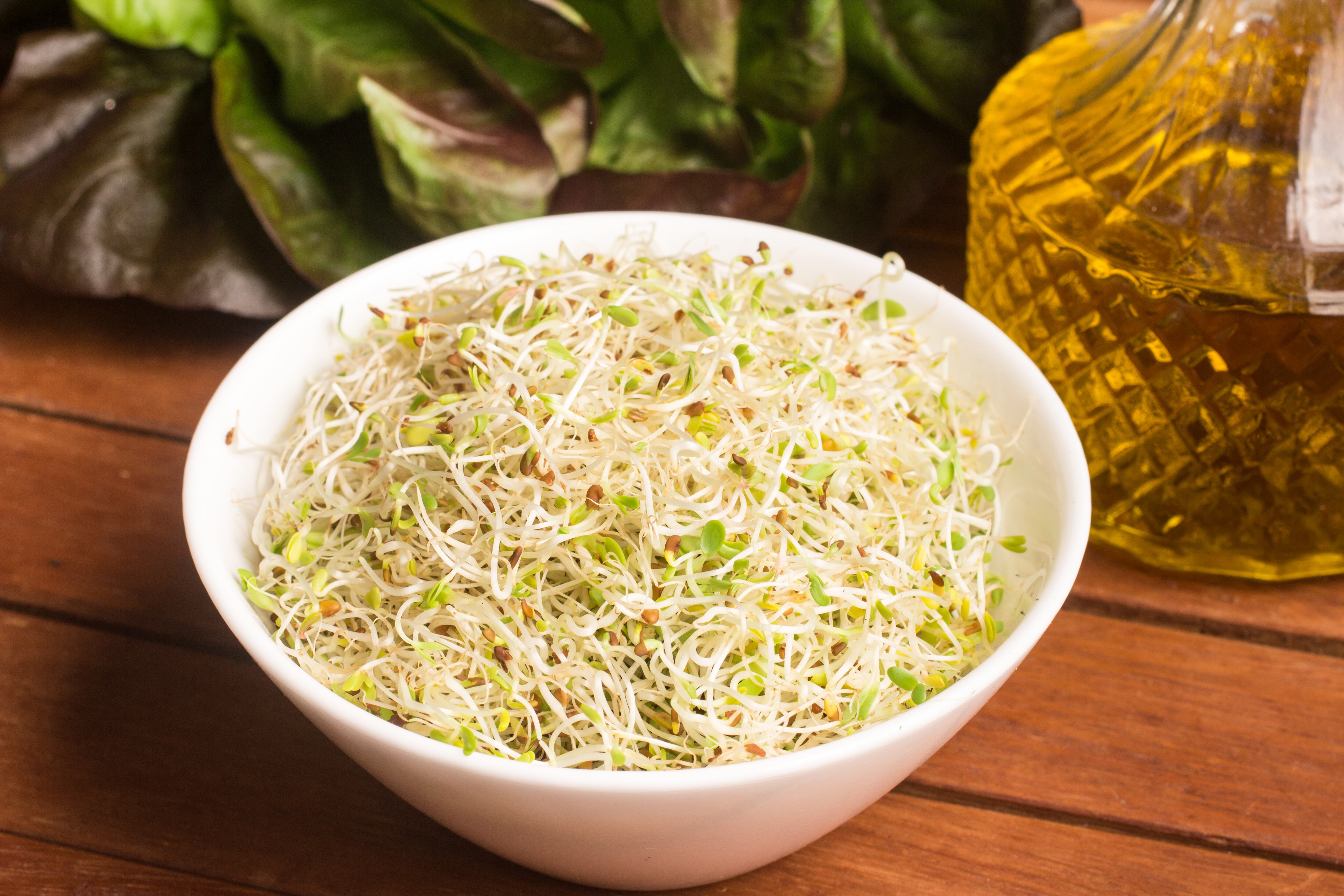 Imagen de referencia de raíces chinas en un plato (Foto vía GettyImages)