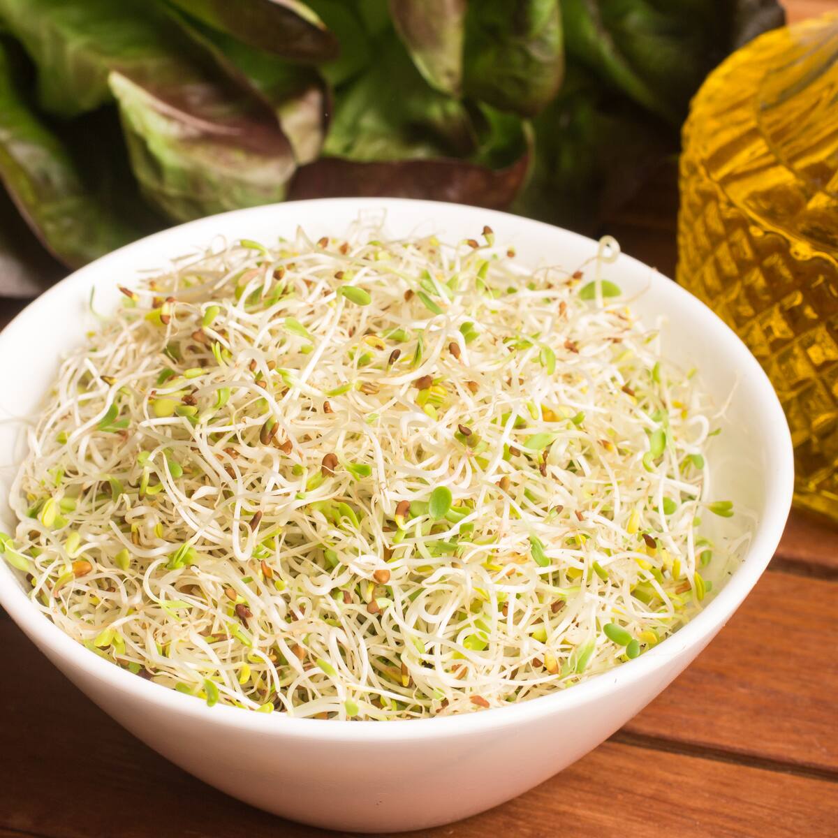 ¿Cómo germinar raíces chinas en casa? Nutrientes y más de este derivado de la soja