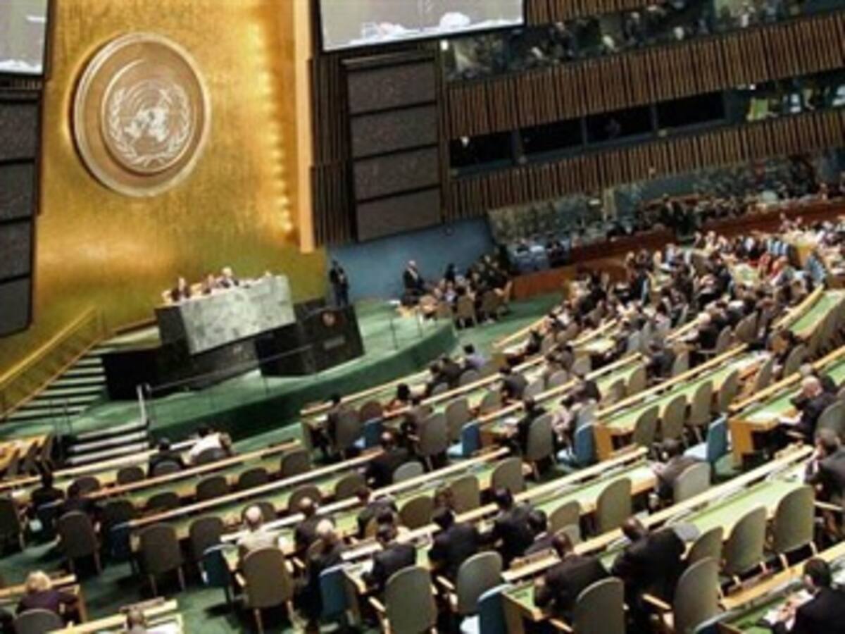 ¿Qué busca Palestina en la ONU?