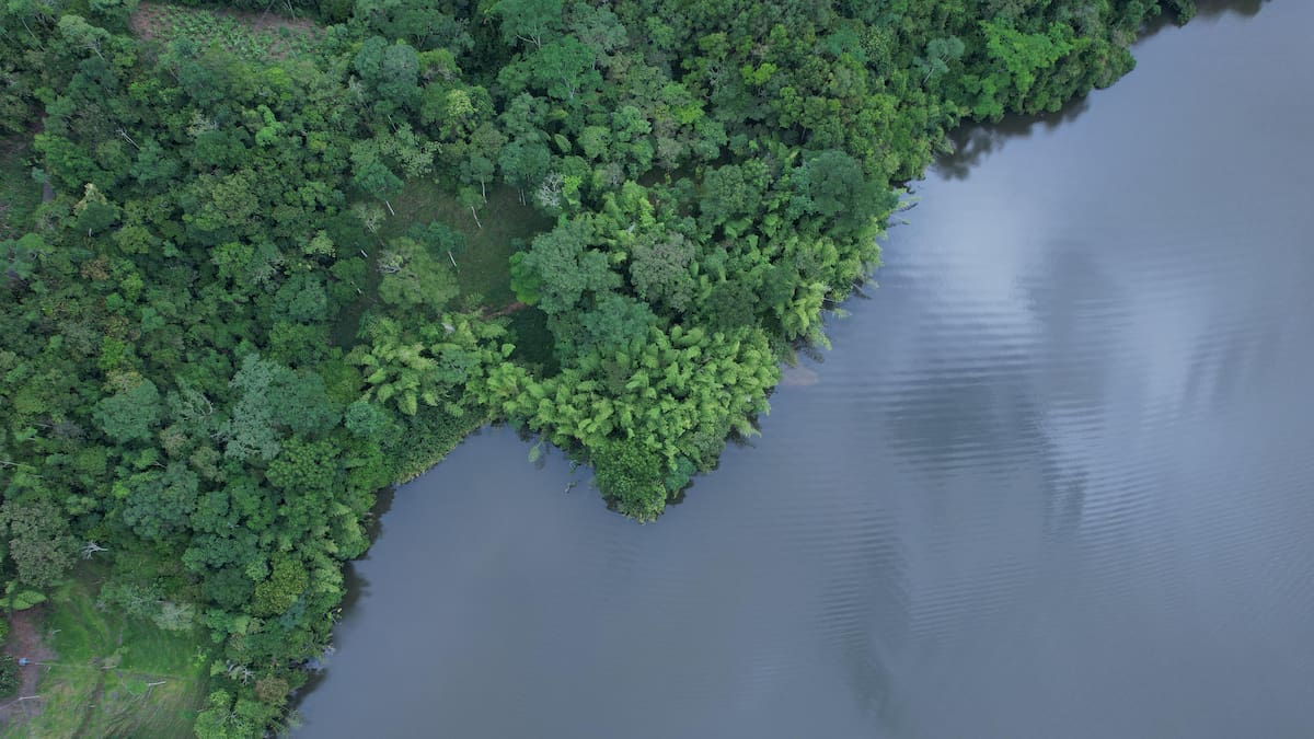 Mantienen medida de cierre en la Laguna de San Diego tras confirmarse la presencia de un virus