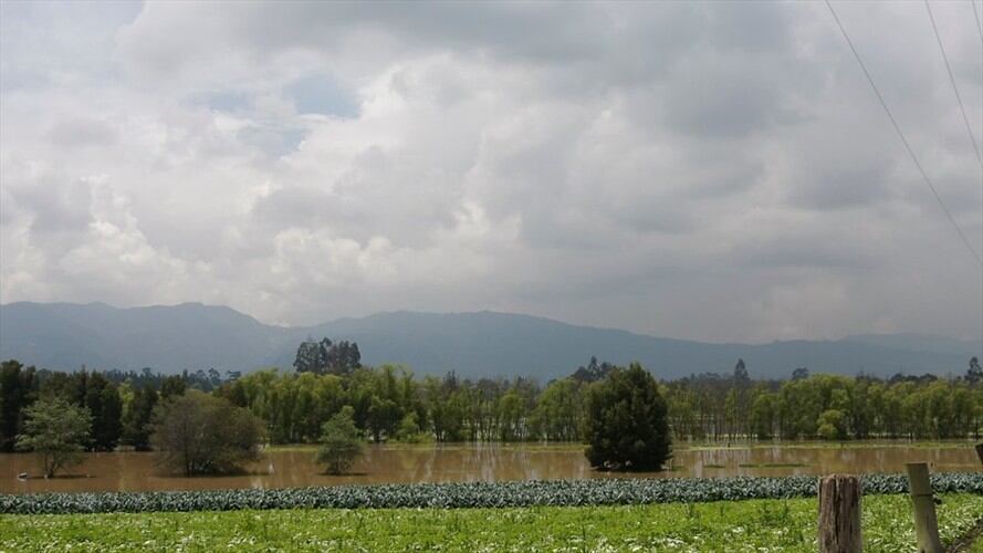 Sabana de Bogotá. Foto: Colprensa