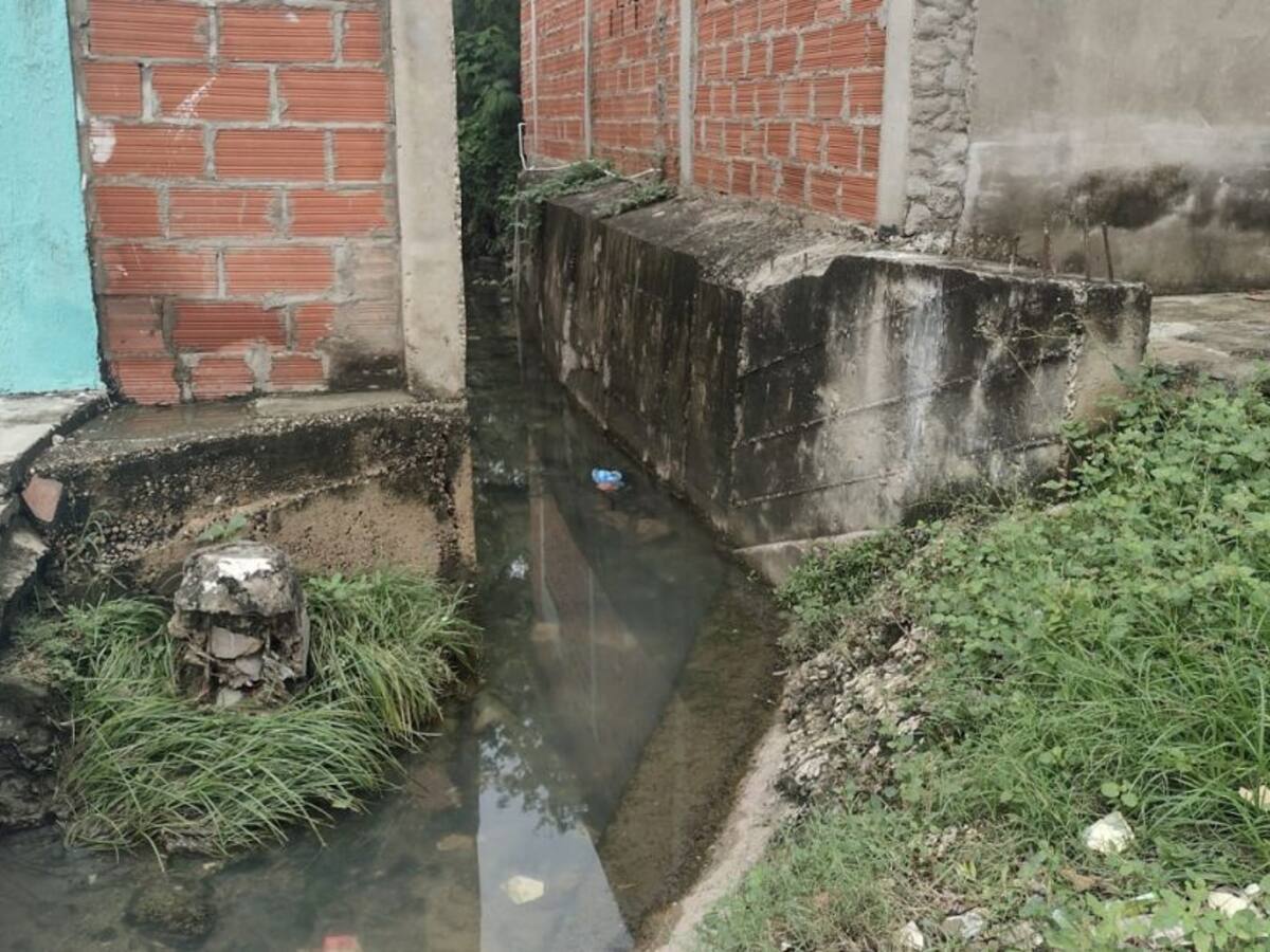 Propusieron Red de Apoyo Contra el Dengue en Cartagena