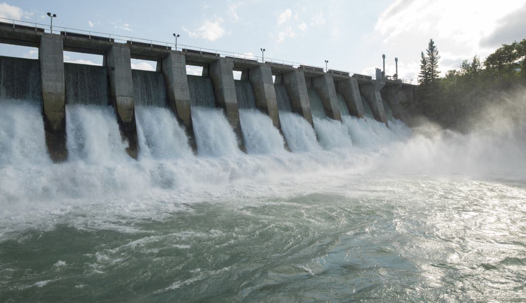 Imagen de referencia