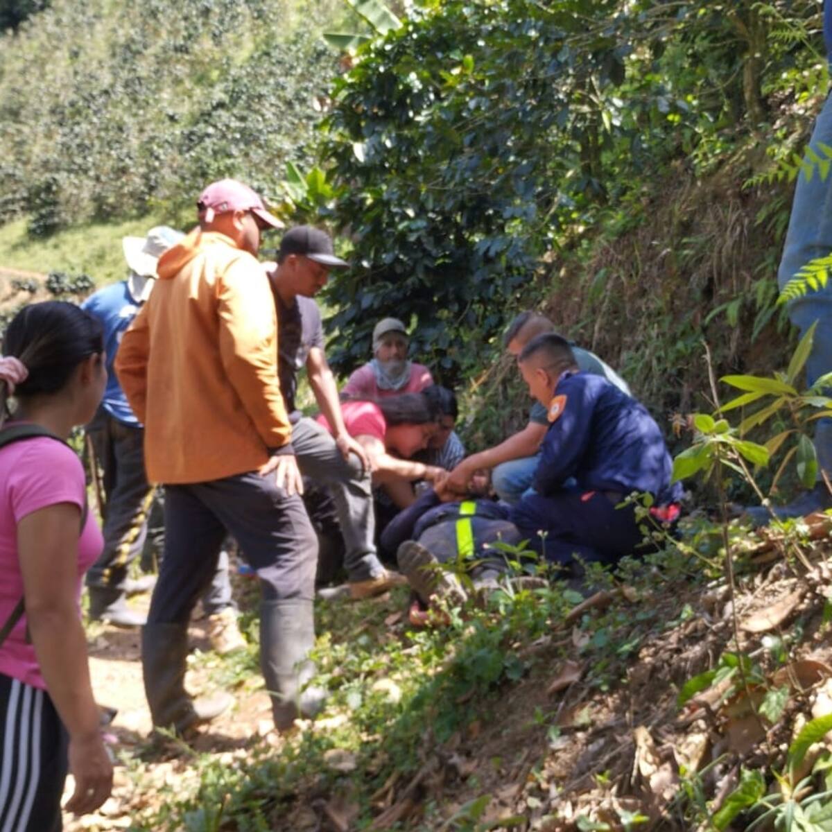 Dos campesinos quedaron heridos al caerles encima un árbol que estaban talando en Andes, Antioquia
