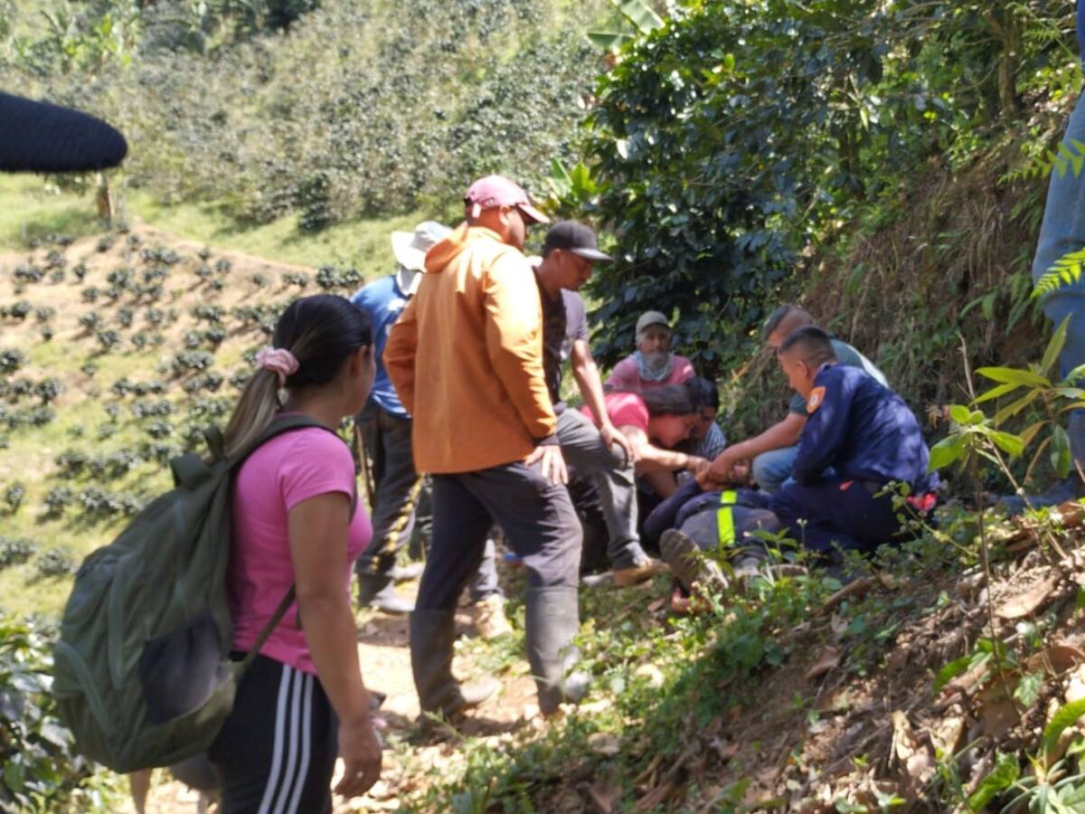 Dos campesinos quedaron heridos al caerles encima un árbol que estaban talando en Andes, Antioquia