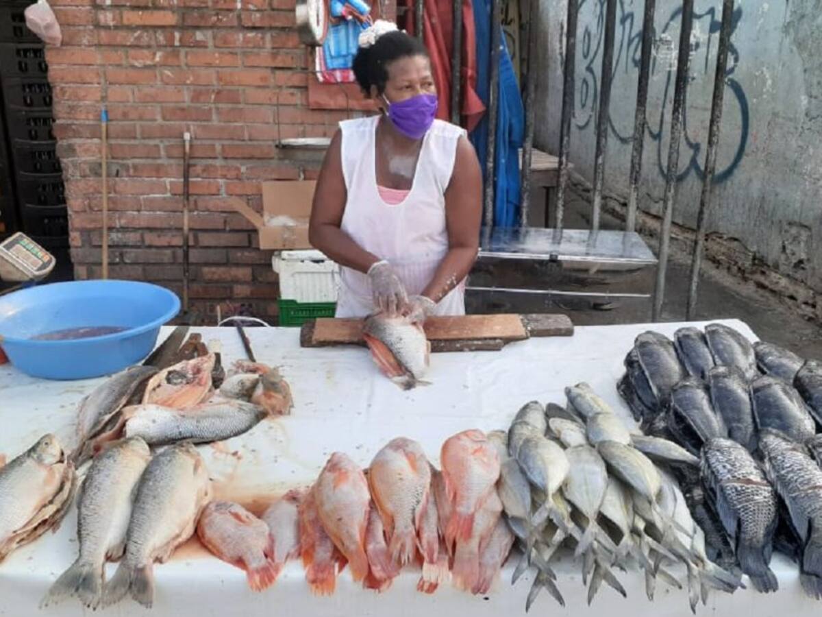 Precios de los pescados empieza a subir en el mercado de Cartagena