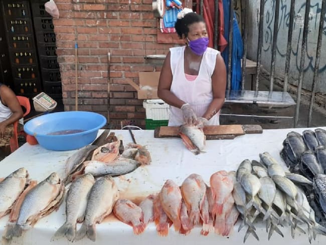 Precios de los pescados empieza a subir en el mercado de Cartagena