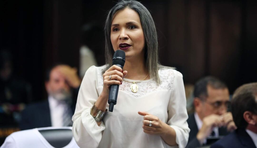 Coordinadora de la organización política en el fronterizo estado Táchira, Karim Vera.