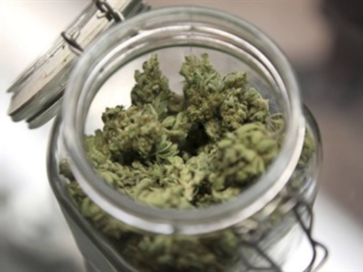 El Estado tendría que dar marihuana gratis: Corte Suprema de Uruguay