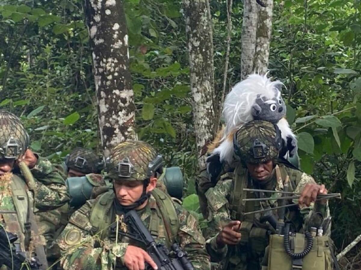 El Mono Titi Cabeciblanco protagoniza campaña del Ejército