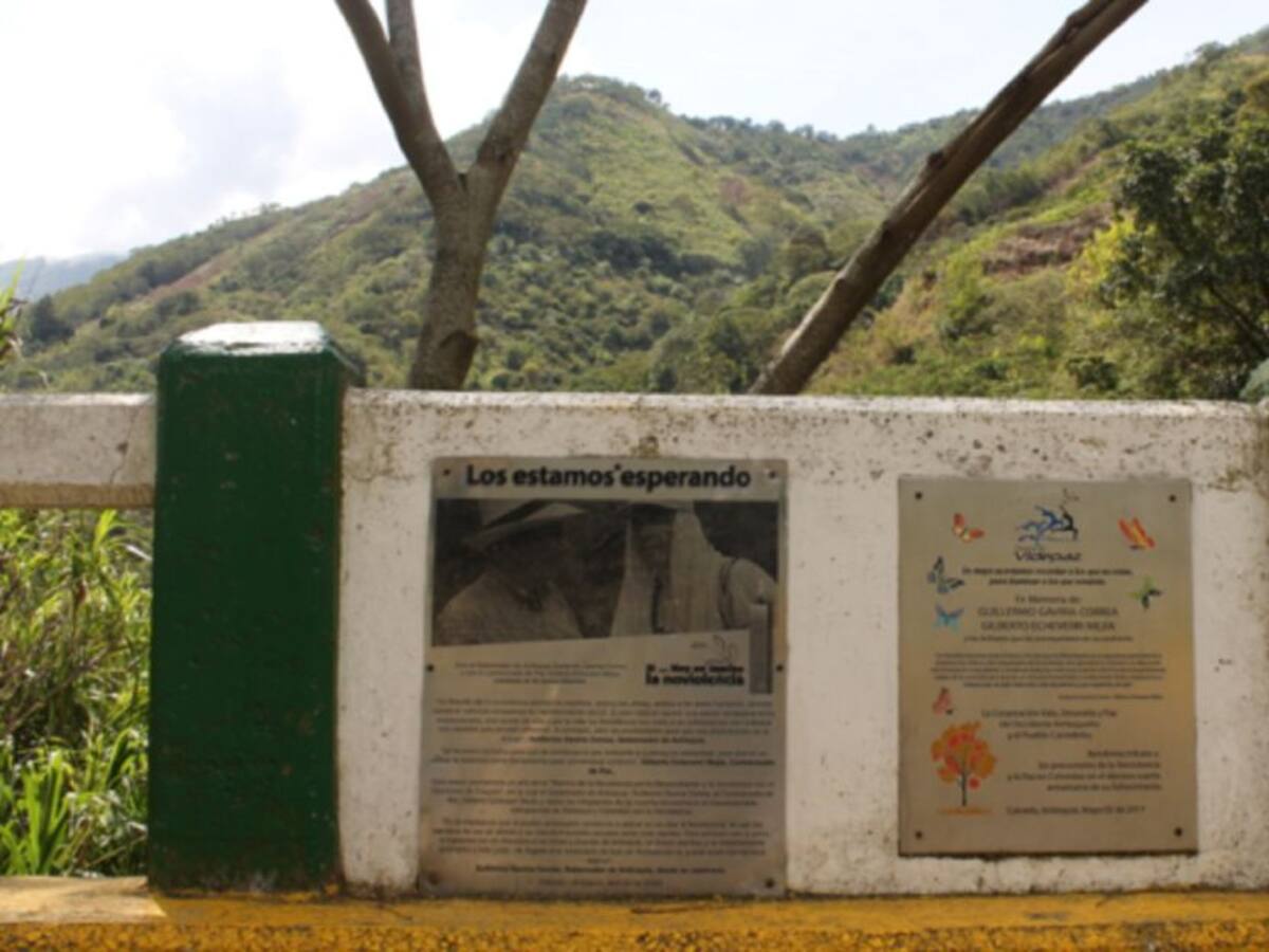Municipio de Caicedo, ejemplo de paz para el mundo