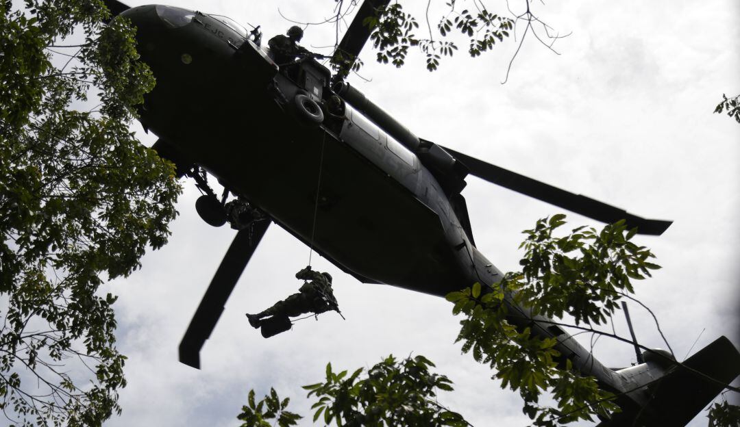 Imagen de referencia.