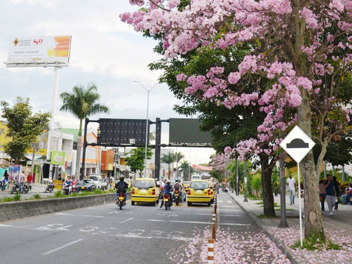 ¿Cómo avanza el proceso de verificación de requisitos en publicidad política en Armenia?
