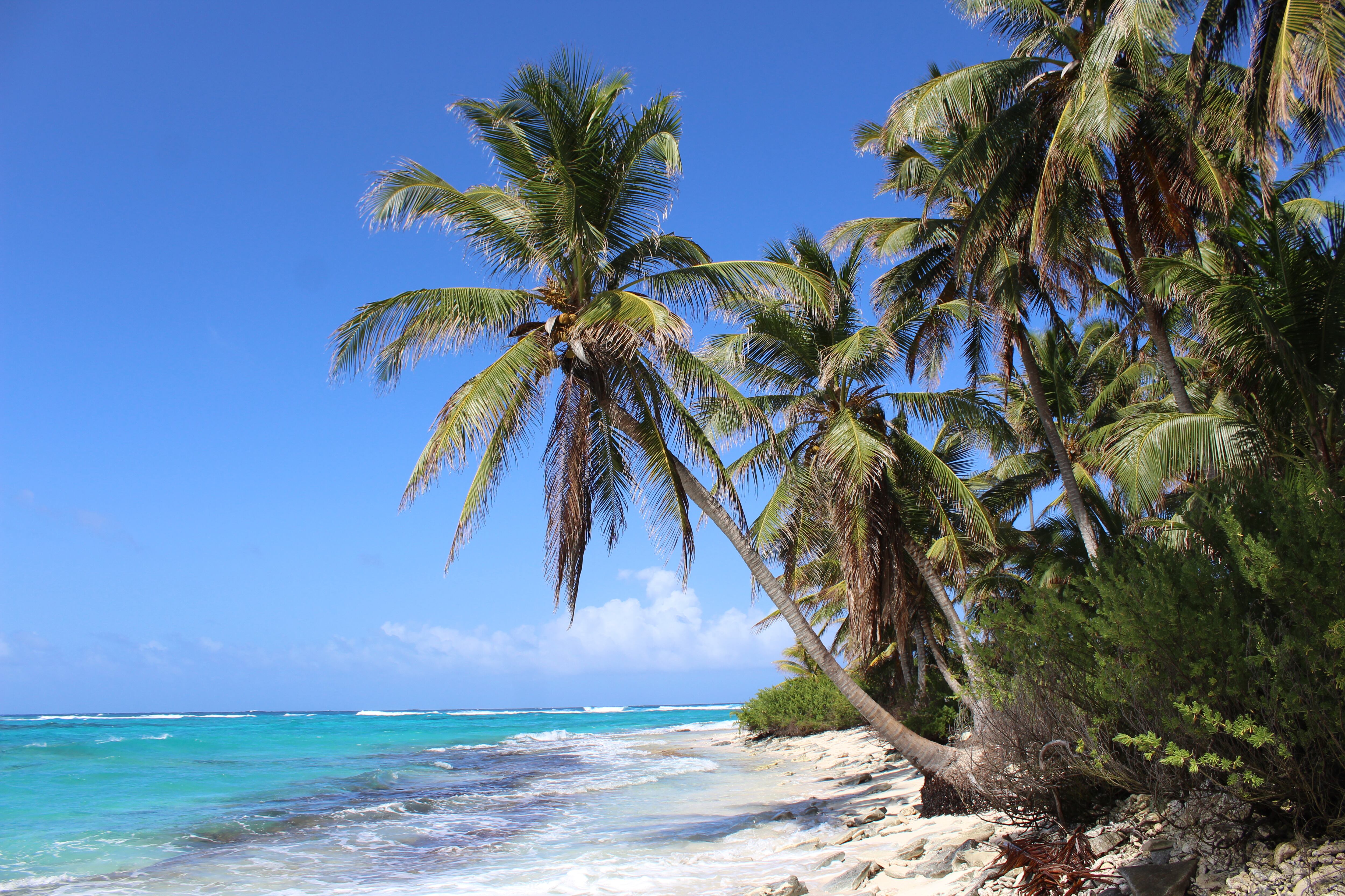 San Andrés | Foto: GettyImages