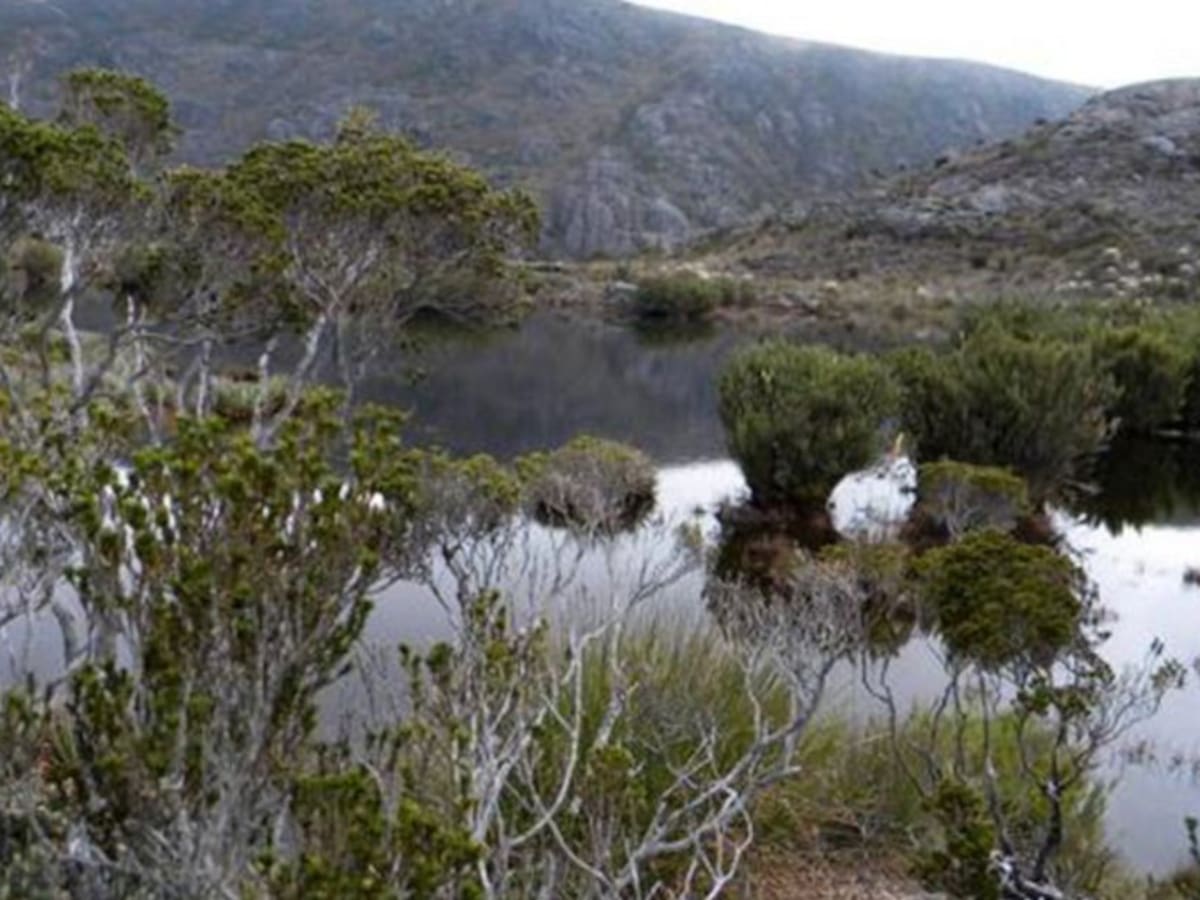 Expectativa por firma de acuerdo para proteger el Páramo de Santurbán