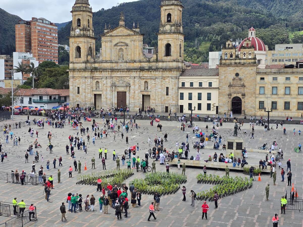 Bogotá celebra sus 487 años con una huella ambiental: 1000 árboles serán plantados en los Cerros