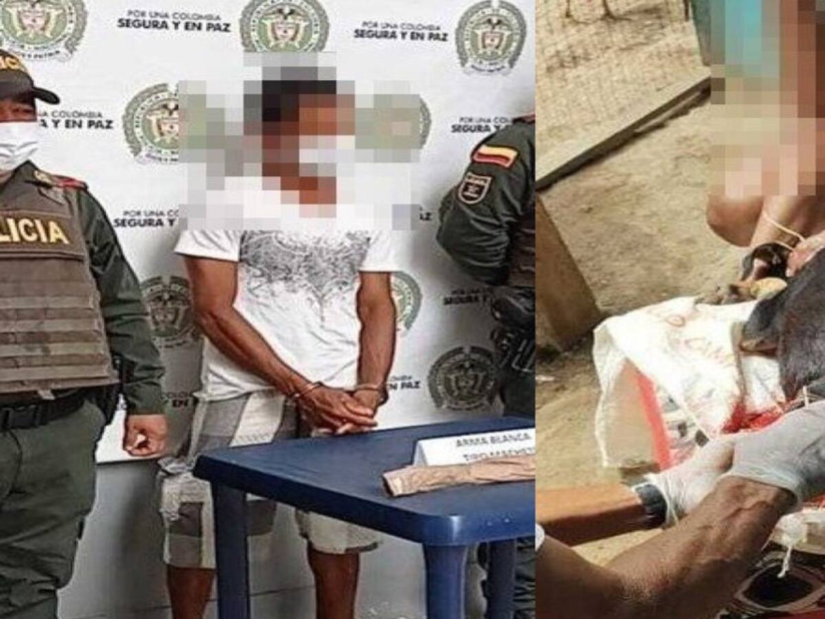 Capturan a un hombre que atacó con machete a una canina en San Bernardo