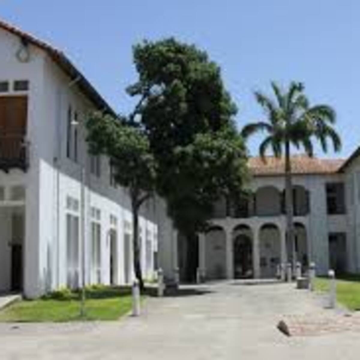 Se acerca escogencia del director de la Biblioteca Pública