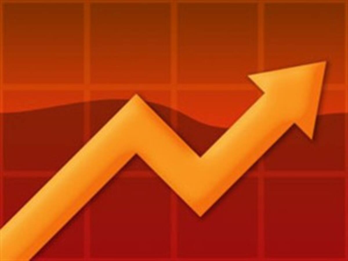 La actividad económica de Argentina creció un 12,4% en mayo