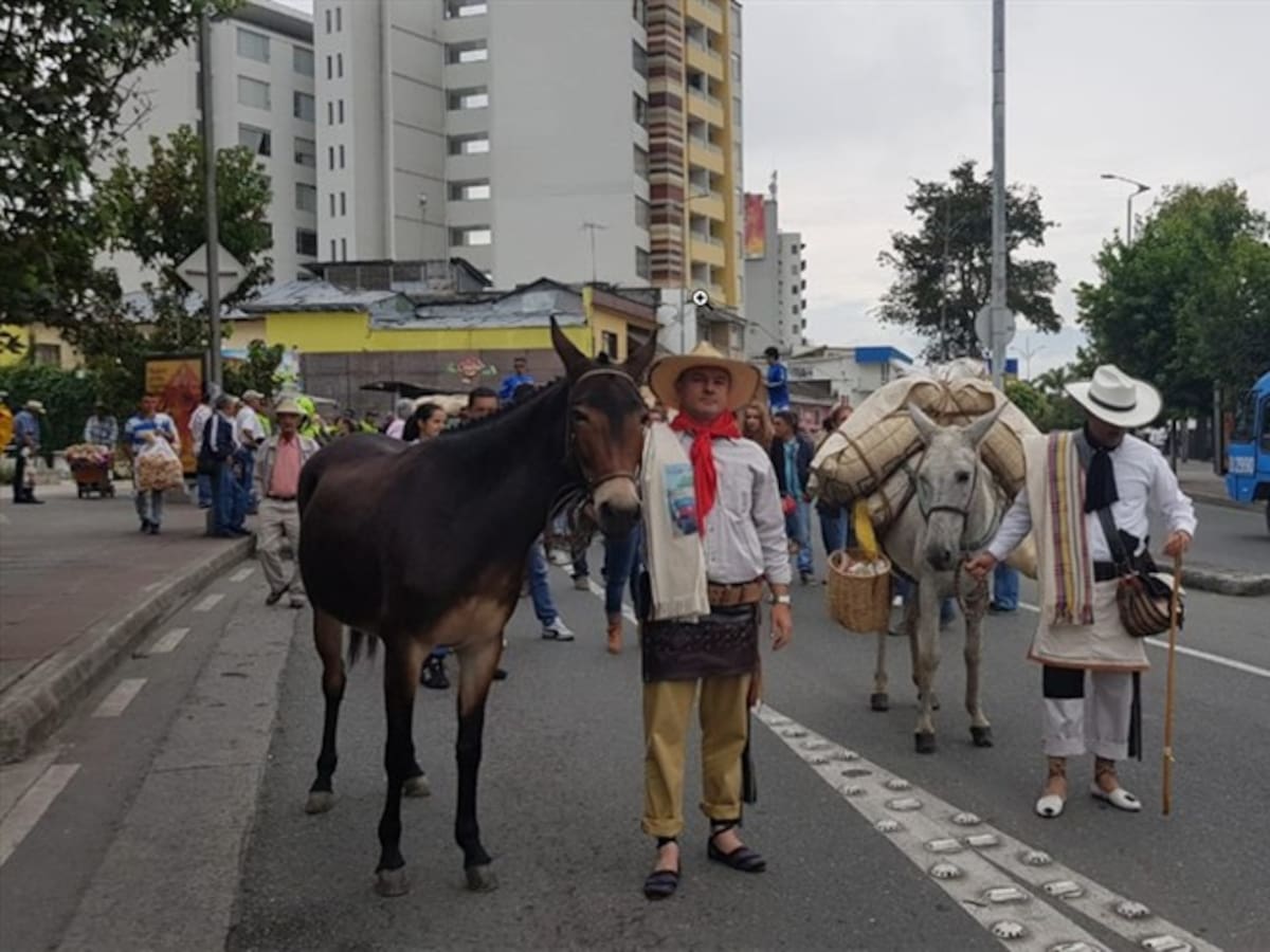 Cafeteros aseguran que la marcha se da para que el Gobierno replantee su ayuda