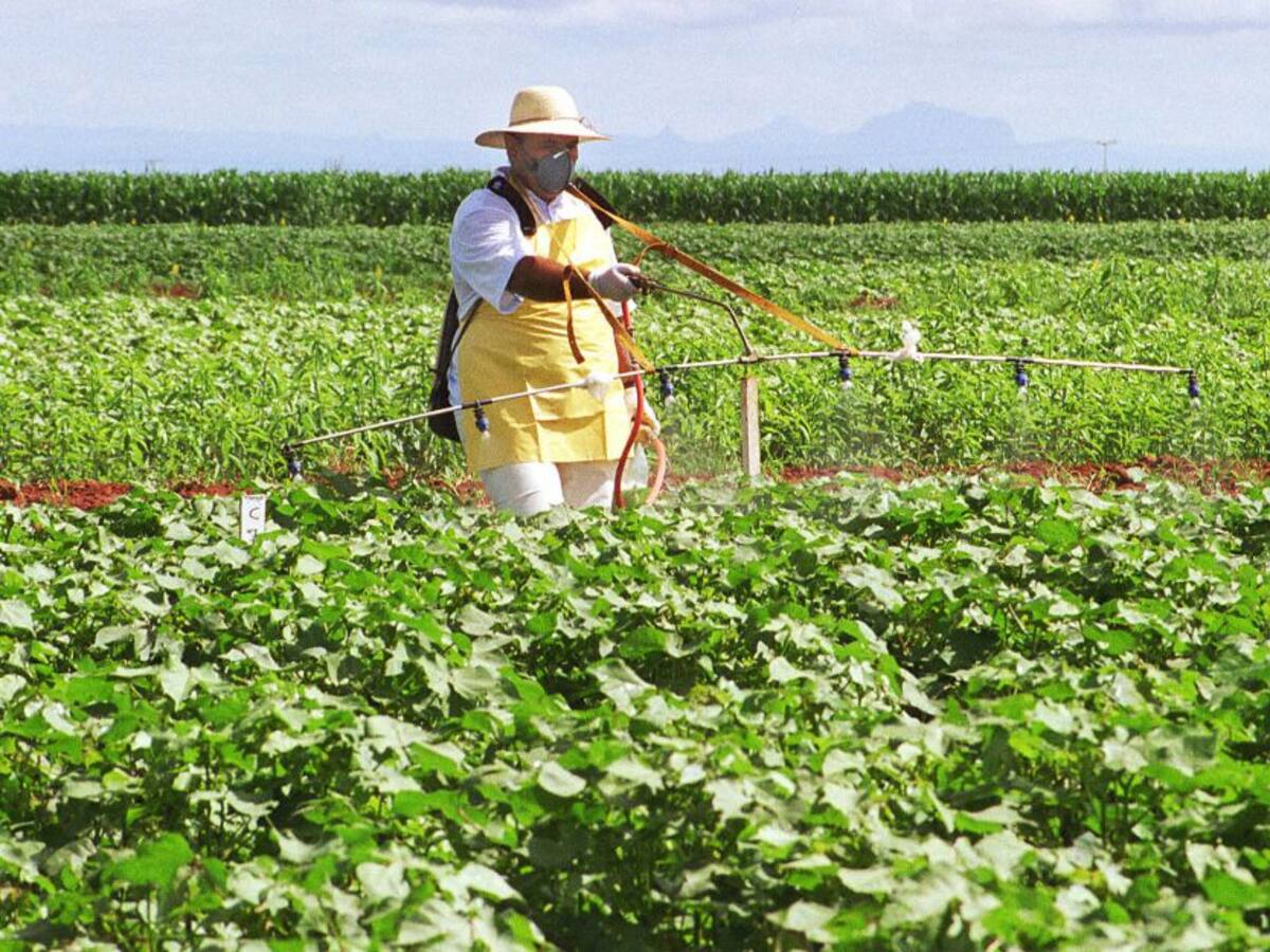 La agricultura en Brasil logró récord de cosechas