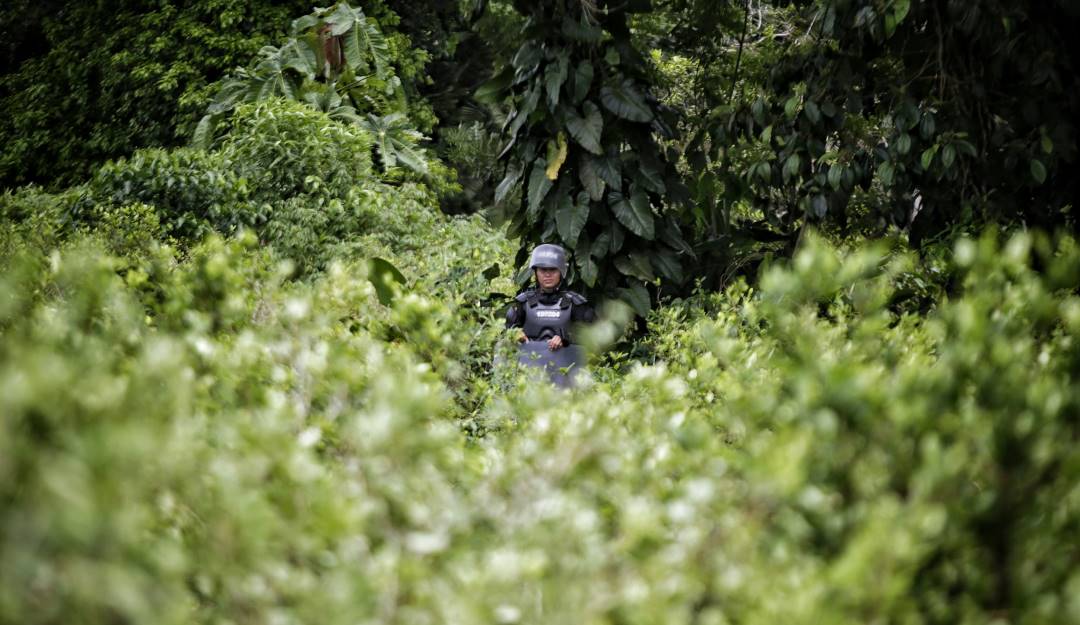 Imagen de referencia. Cortesía: Álvaro Tavera, Colprensa.