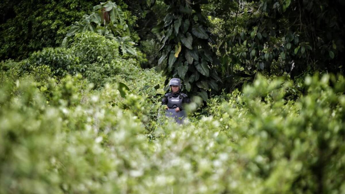 Masacre de El Tandil no será investigada por la Justicia Penal Militar