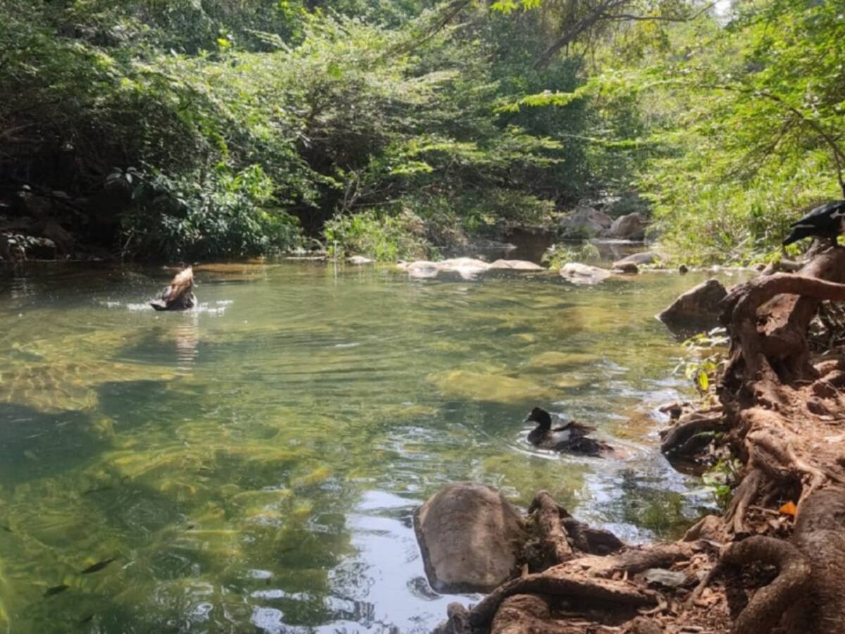 La agonía de las comunidades indígenas por desvío del Arroyo Bruno