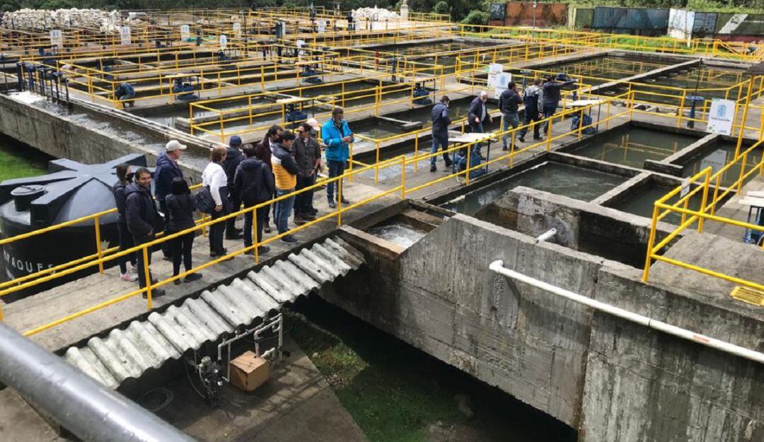 Foto: Aguas de Manizales.