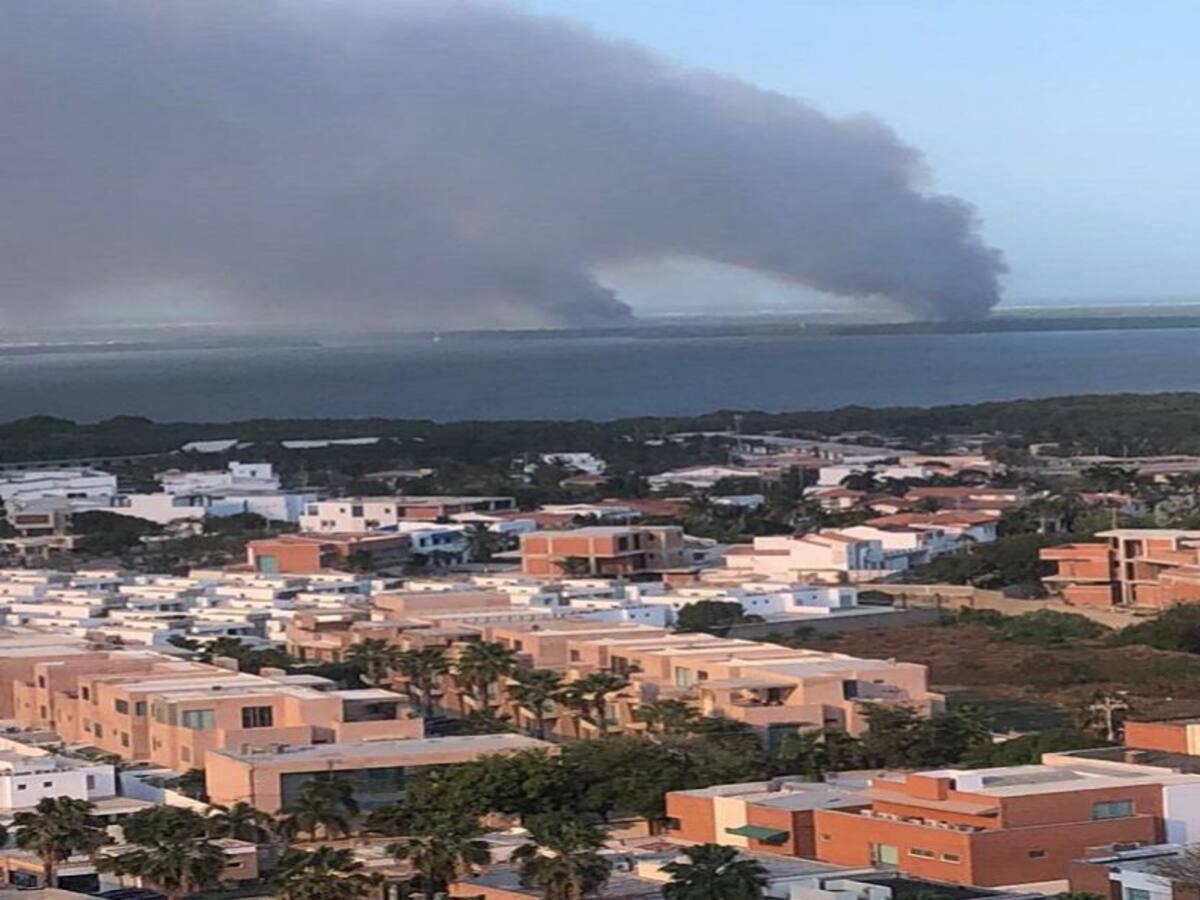 12 hectáreas de enea arrasadas por incendio en parque Isla Salamanca
