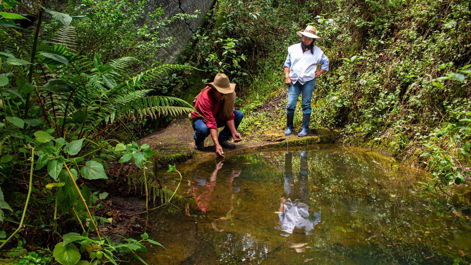 Desde la Subdirección de Ecosistemas y Gestión Ambiental de Corpoboyacá, se lideró el proceso técnico para la identificación y adquisición de estos predios / Foto Prensa Corpoboyacá