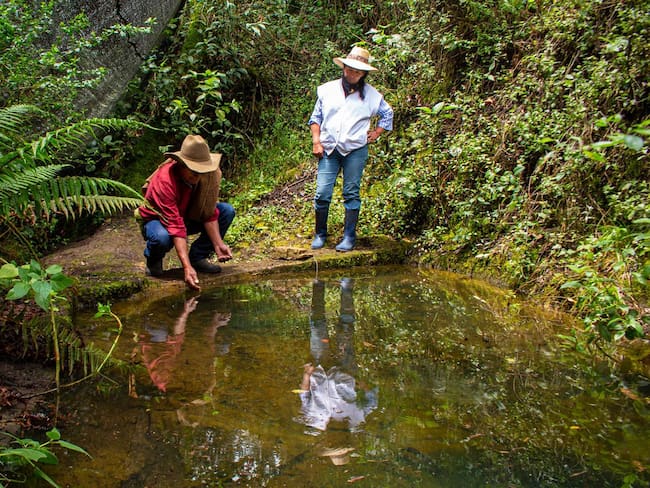 Desde la Subdirección de Ecosistemas y Gestión Ambiental de Corpoboyacá, se lideró el proceso técnico para la identificación y adquisición de estos predios / Foto Prensa Corpoboyacá