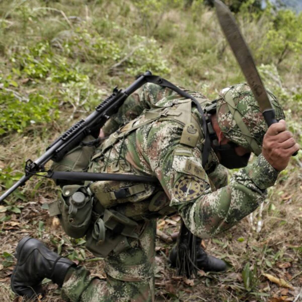 Colombia erradicó 103.100 hectáreas de coca en lo corrido de 2021