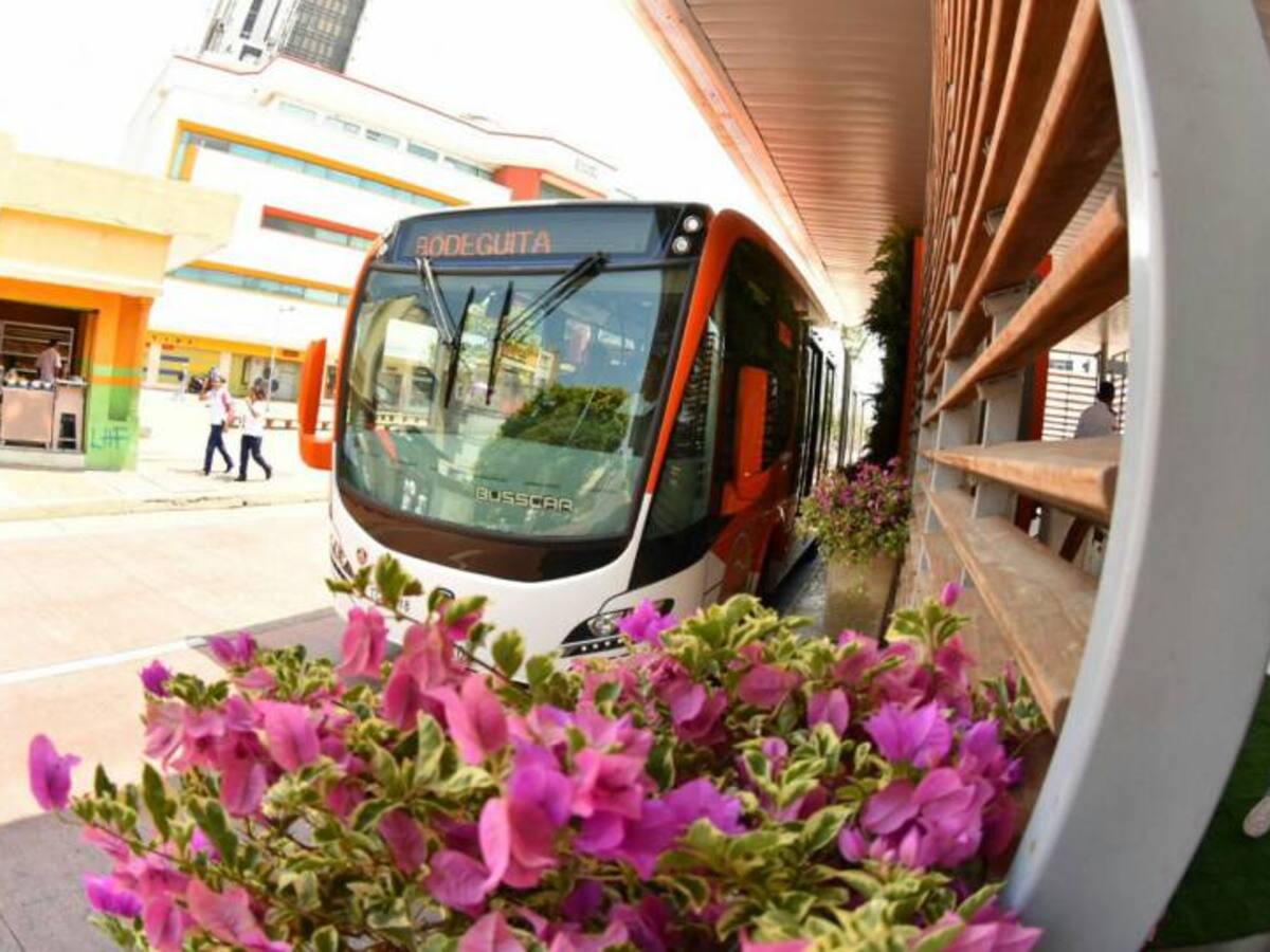 Cartagena, pionera en jardines verticales en estaciones de Sistema de Transporte Masivo