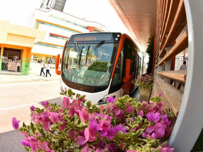Cartagena, pionera en jardines verticales en estaciones de Sistema de Transporte Masivo