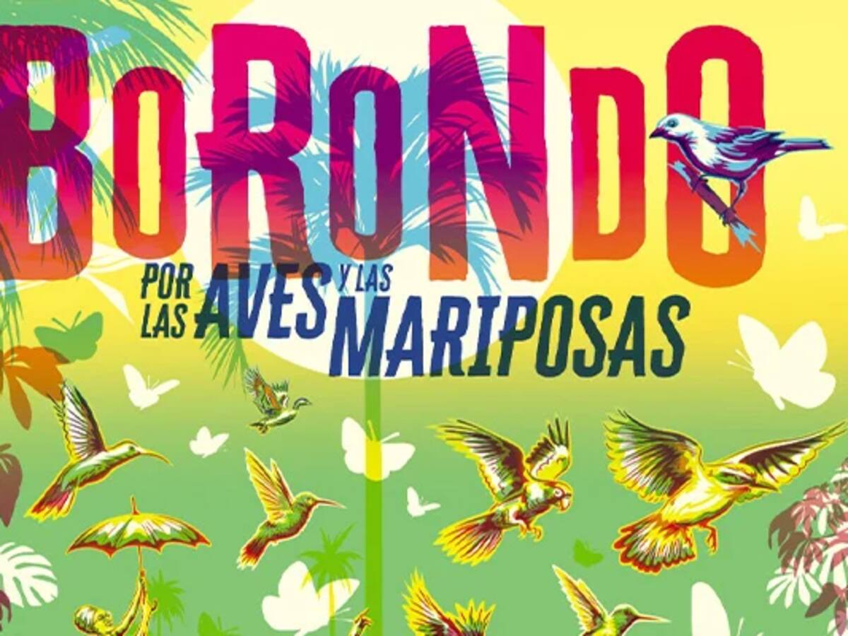 Borondo en Cali, proyecto que busca cuidar las aves y mariposas de la ciudad