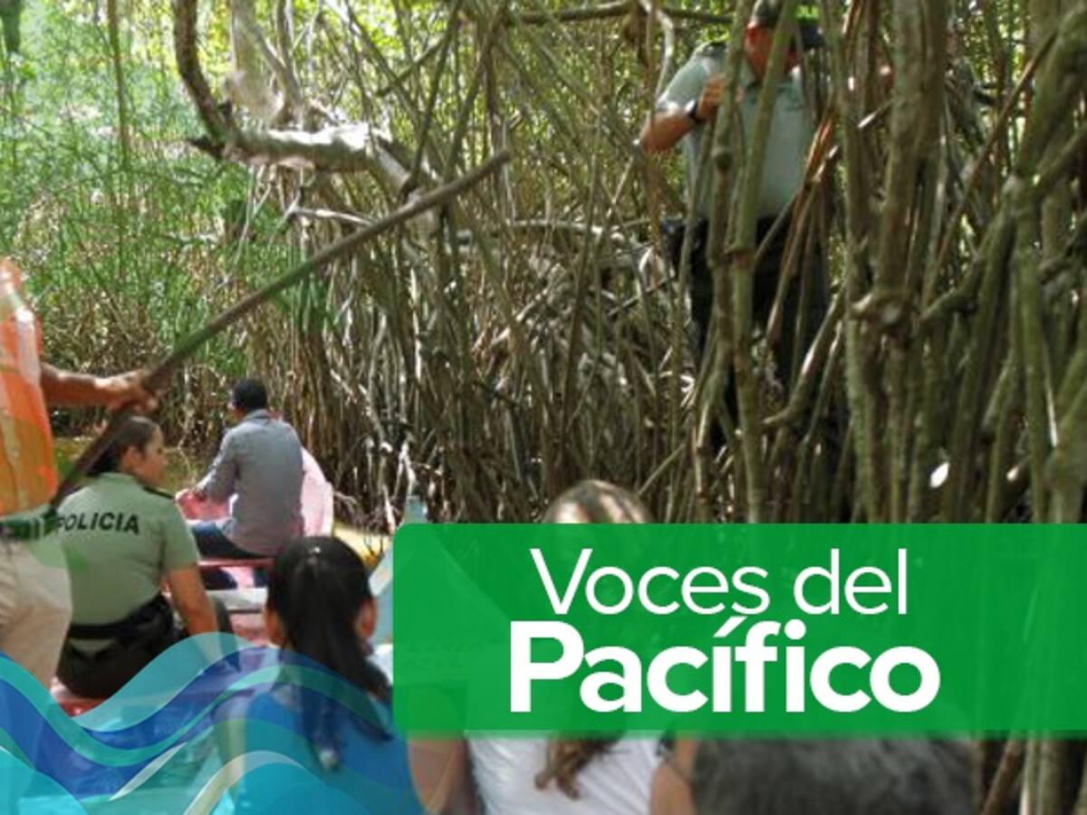 ¿Qué acciones se están tomando para conservar los manglares y recursos naturales en la costa Pacífica?