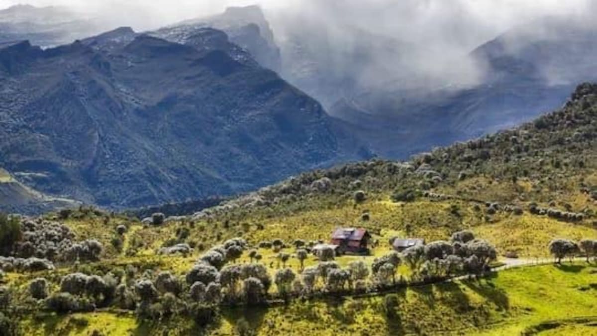 MinAmbiente tendría $1,38 billones de presupuesto para 2027: así se distribuirían los recursos
